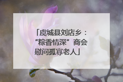 虞城县刘店乡：“粽香情深”商会慰问孤寡老人