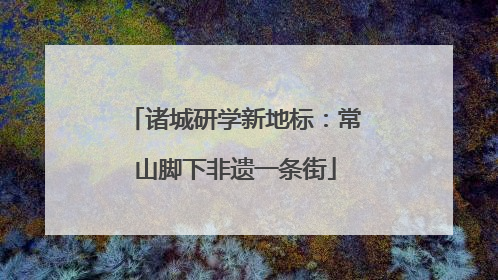 诸城研学新地标：常山脚下非遗一条街