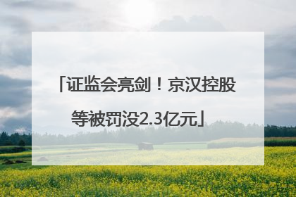 证监会亮剑！京汉控股等被罚没2.3亿元