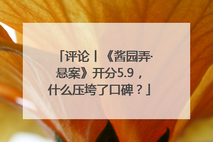评论丨《酱园弄·悬案》开分5.9，什么压垮了口碑？