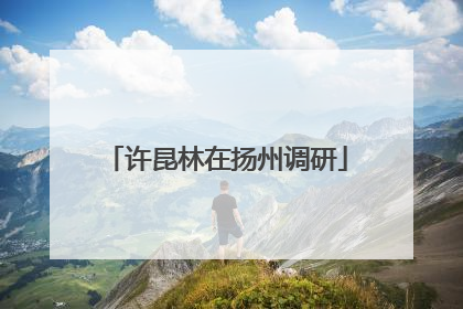 许昆林在扬州调研