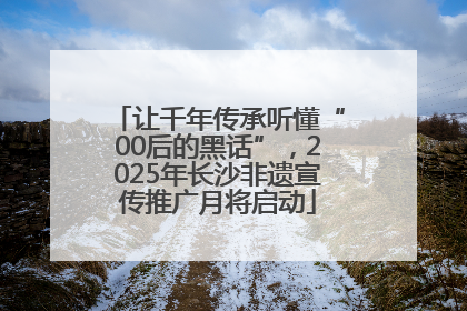 让千年传承听懂“00后的黑话”，2025年长沙非遗宣传推广月将启动