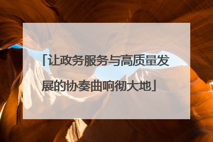 让政务服务与高质量发展的协奏曲响彻大地