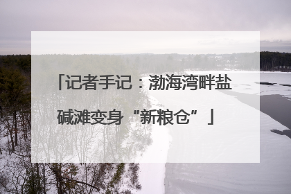 记者手记：渤海湾畔盐碱滩变身“新粮仓”