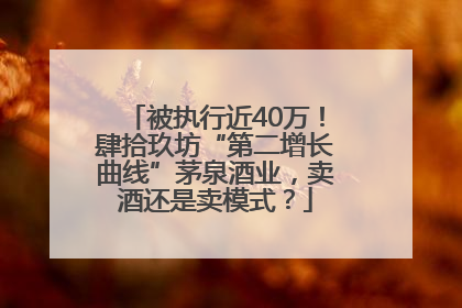 被执行近40万！肆拾玖坊“第二增长曲线”茅泉酒业，卖酒还是卖模式？