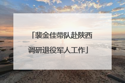 裴金佳带队赴陕西调研退役军人工作