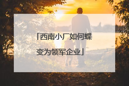 西南小厂如何蝶变为领军企业