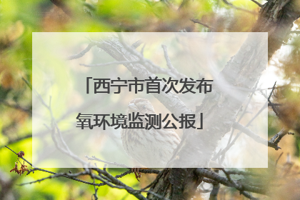 西宁市首次发布氧环境监测公报
