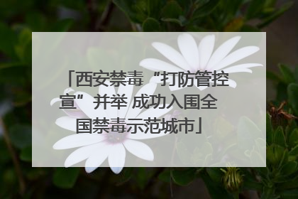 西安禁毒“打防管控宣”并举 成功入围全国禁毒示范城市