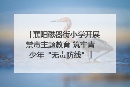 襄阳磁器街小学开展禁毒主题教育 筑牢青少年“无毒防线”