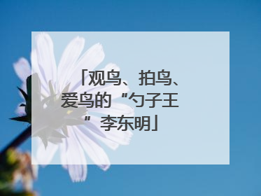 观鸟、拍鸟、爱鸟的“勺子王”李东明