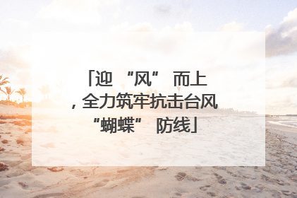 迎 “风” 而上，全力筑牢抗击台风 “蝴蝶” 防线