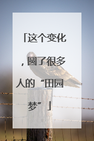 这个变化，圆了很多人的“田园梦”