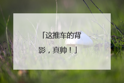 这推车的背影，真帅！