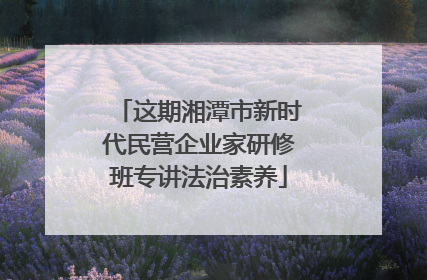 这期湘潭市新时代民营企业家研修班专讲法治素养