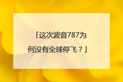 这次波音787为何没有全球停飞？