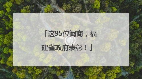 这95位闽商，福建省政府表彰！