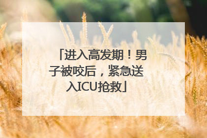 进入高发期！男子被咬后，紧急送入ICU抢救