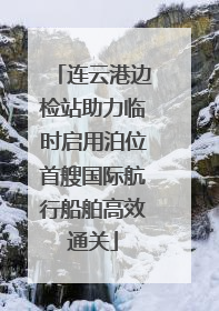 连云港边检站助力临时启用泊位首艘国际航行船舶高效通关