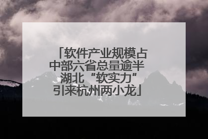 软件产业规模占中部六省总量逾半 湖北“软实力”引来杭州两小龙