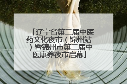 辽宁省第二届中医药文化夜市（锦州站）暨锦州市第二届中医康养夜市启幕