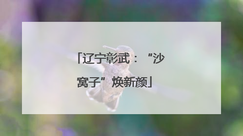 辽宁彰武：“沙窝子”焕新颜