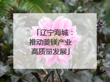 辽宁海城：推动菱镁产业高质量发展