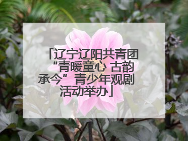 辽宁辽阳共青团“青暖童心 古韵承今”青少年观剧活动举办