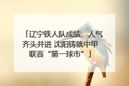 辽宁铁人队成绩、人气齐头并进 沈阳铸就中甲联赛“第一球市”