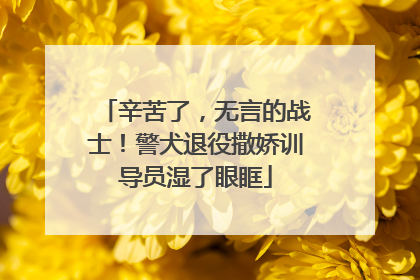 辛苦了，无言的战士！警犬退役撒娇训导员湿了眼眶