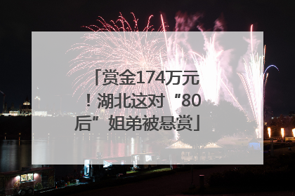 赏金174万元！湖北这对“80后”姐弟被悬赏