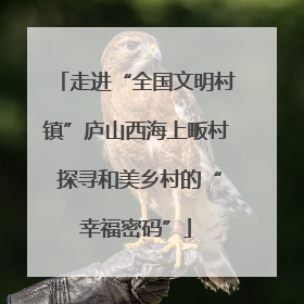 走进“全国文明村镇”庐山西海上畈村 探寻和美乡村的“幸福密码”