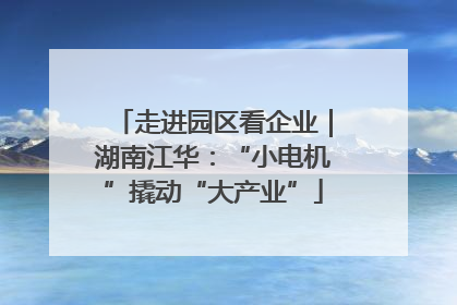 走进园区看企业｜湖南江华：“小电机”撬动“大产业”