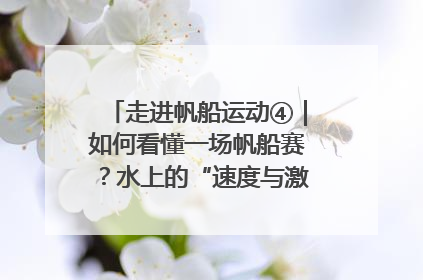 走进帆船运动④｜如何看懂一场帆船赛？水上的“速度与激情”同样精彩