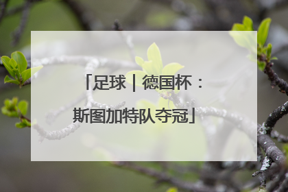 足球｜德国杯：斯图加特队夺冠