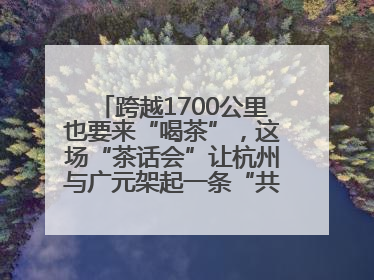 跨越1700公里也要来“喝茶”，这场“茶话会”让杭州与广元架起一条“共富之路”