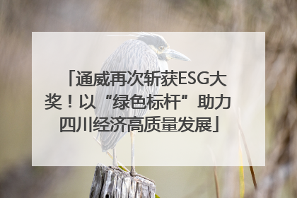 通威再次斩获ESG大奖！以“绿色标杆”助力四川经济高质量发展
