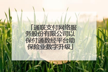 通联支付网络服务股份有限公司以保付通数经平台助保险业数字升级