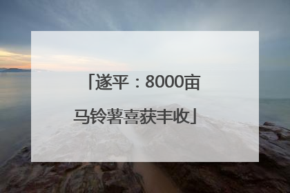 遂平：8000亩马铃薯喜获丰收