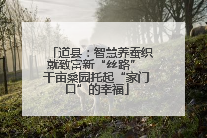 道县：智慧养蚕织就致富新“丝路” 千亩桑园托起“家门口”的幸福
