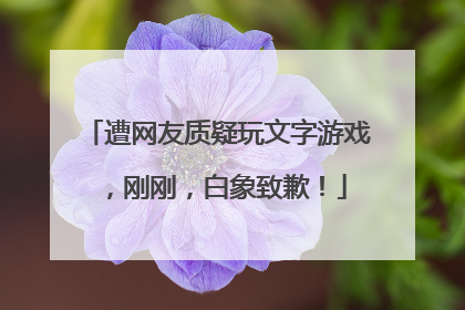 遭网友质疑玩文字游戏，刚刚，白象致歉！