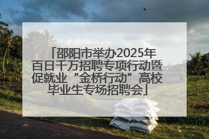 邵阳市举办2025年百日千万招聘专项行动暨促就业“金桥行动”高校毕业生专场招聘会