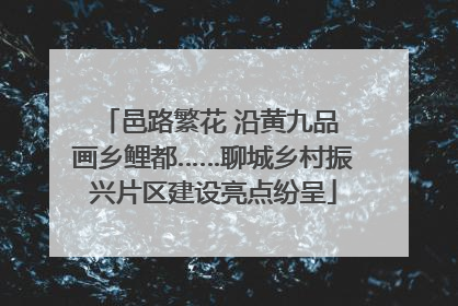 邑路繁花 沿黄九品 画乡鲤都……聊城乡村振兴片区建设亮点纷呈