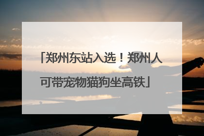 郑州东站入选！郑州人可带宠物猫狗坐高铁