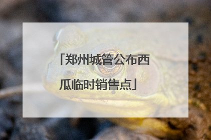 郑州城管公布西瓜临时销售点