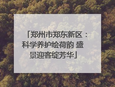 郑州市郑东新区：科学养护绘荷韵 盛景迎客绽芳华