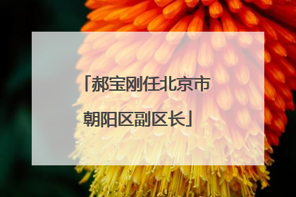 郝宝刚任北京市朝阳区副区长