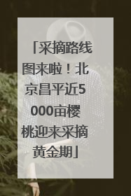 采摘路线图来啦！北京昌平近5000亩樱桃迎来采摘黄金期