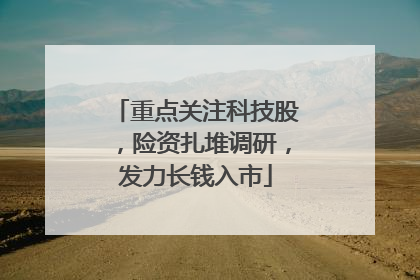 重点关注科技股，险资扎堆调研，发力长钱入市