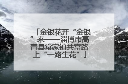 金银花开“金银”来——淄博市高青县常家镇共富路上“一路生花”